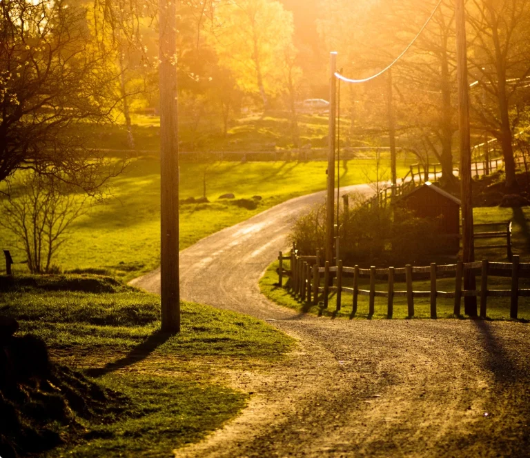 Solbelyst grusväg som leder fram till en gård på landsbygden.