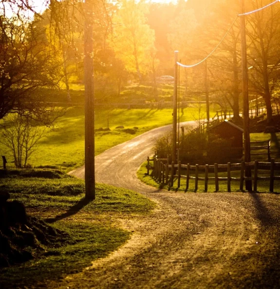 Solbelyst grusväg som leder fram till en gård på landsbygden.