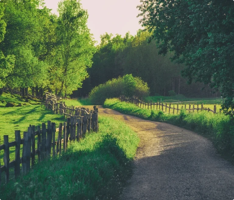 Väg till gård på landsbygden. Vi har akut jour dygnet runt i hela Stockholm.